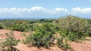 5 Acres Ocean View Property in Golini - thumbnail 2