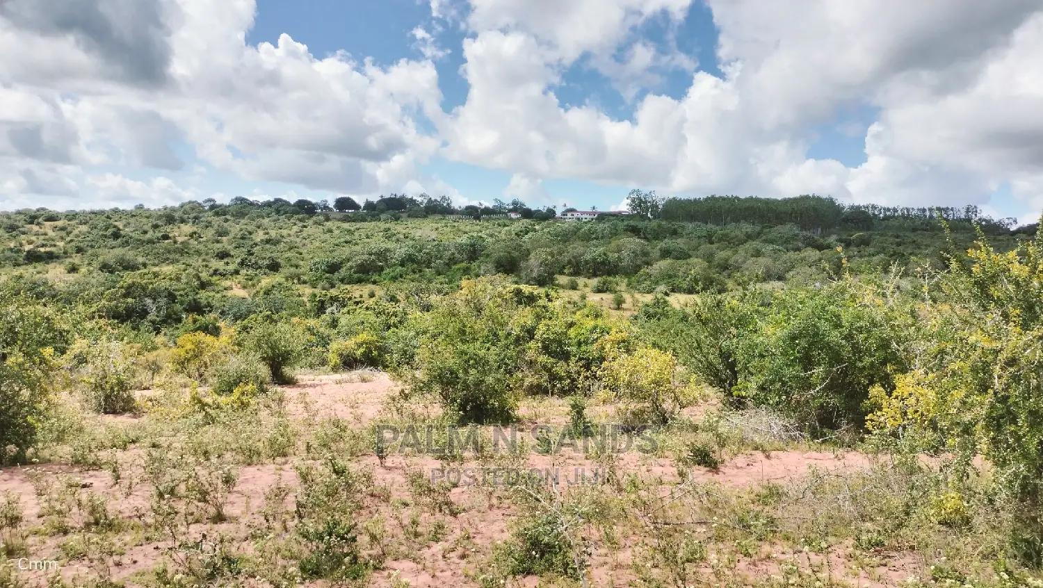 5 Acres Ocean View Property in Golini