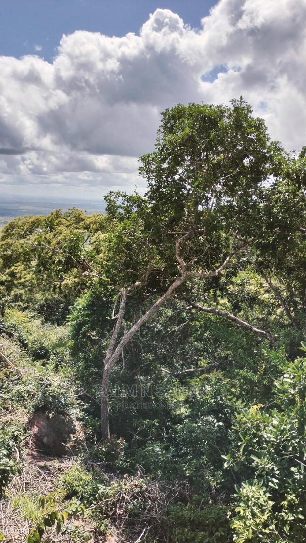 5 Acres Ocean View Property in Golini - thumbnail 10