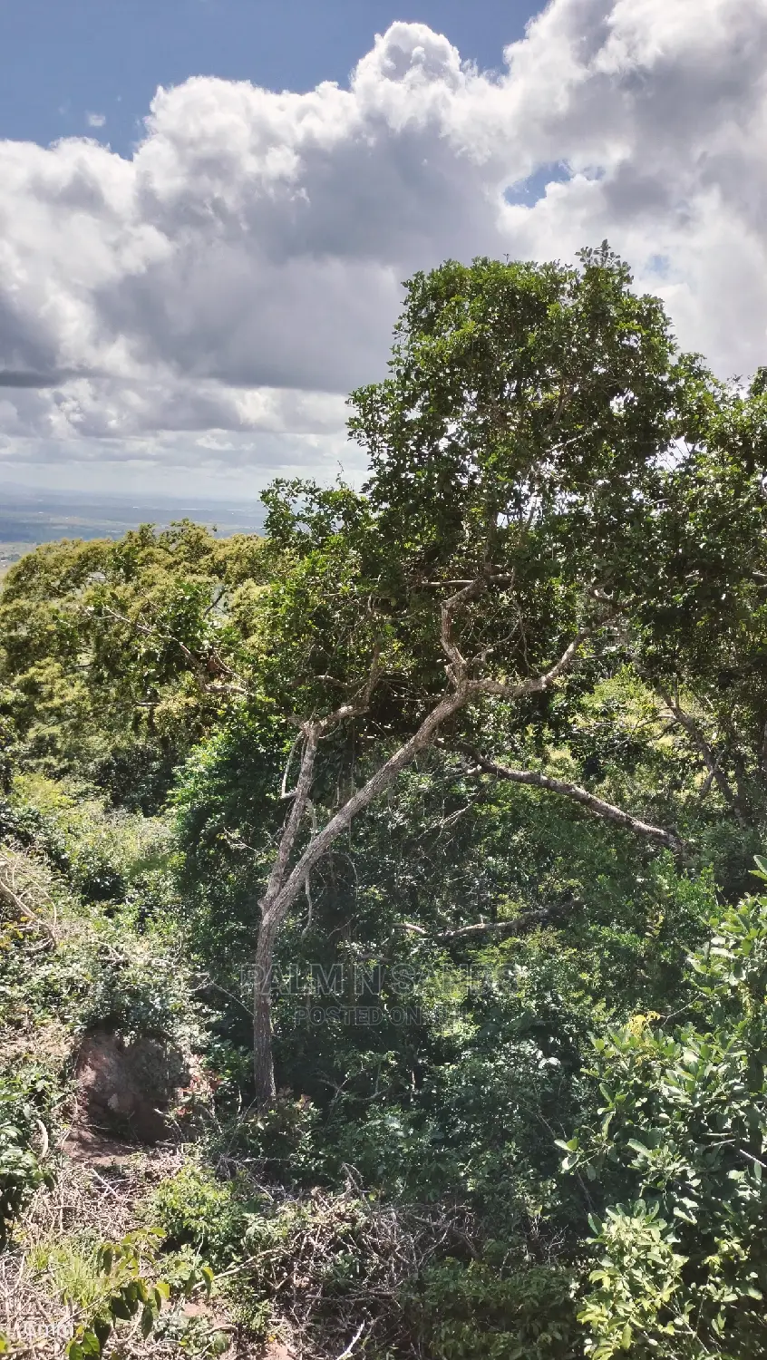 5 Acres Ocean View Property in Golini