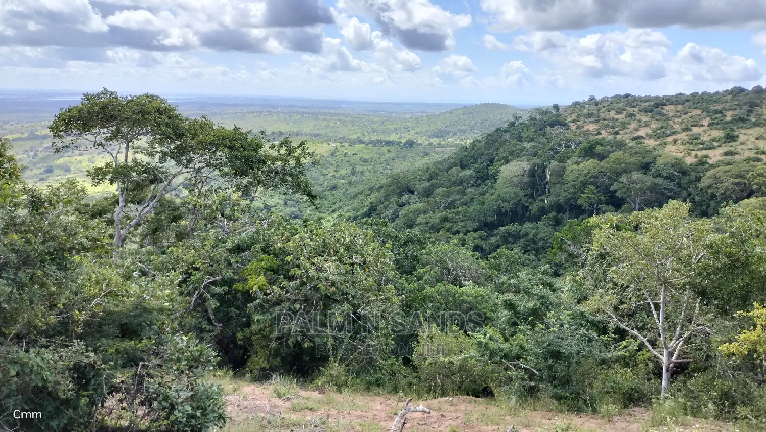 5 Acres Ocean View Property in Golini