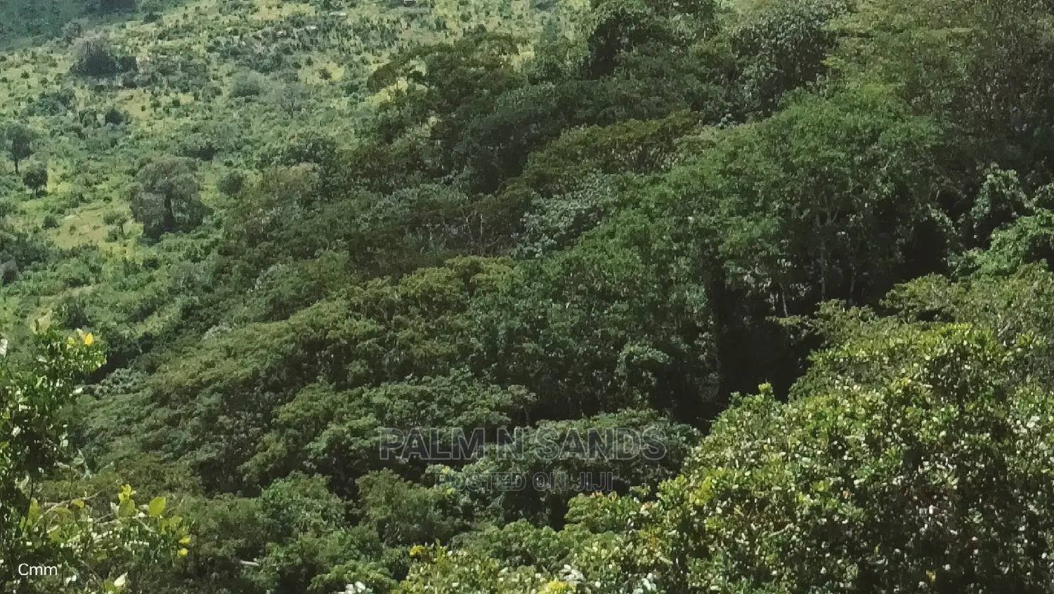 5 Acres Ocean View Property in Golini