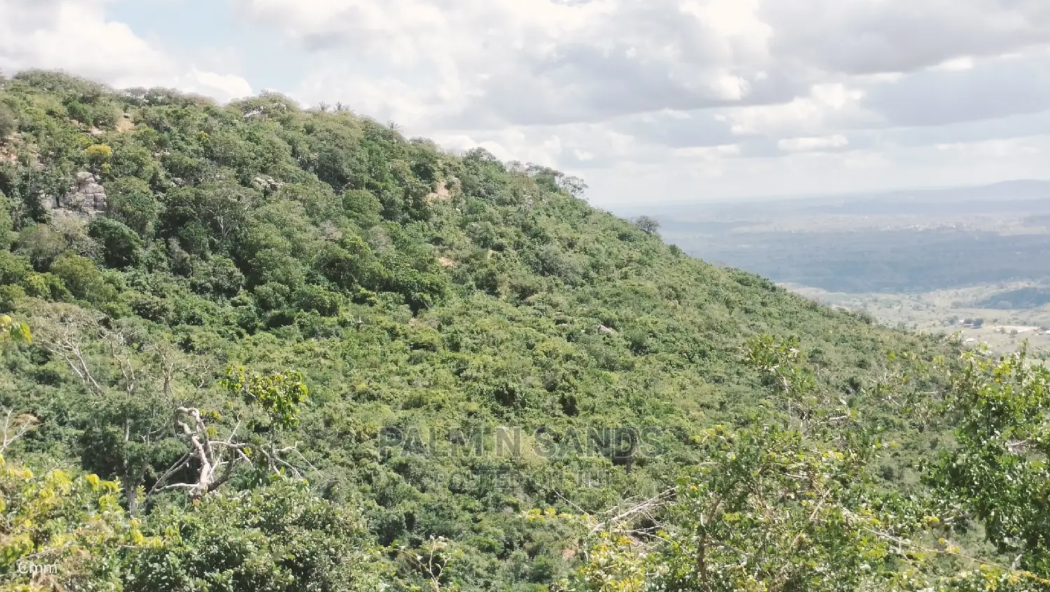 5 Acres Ocean View Property in Golini