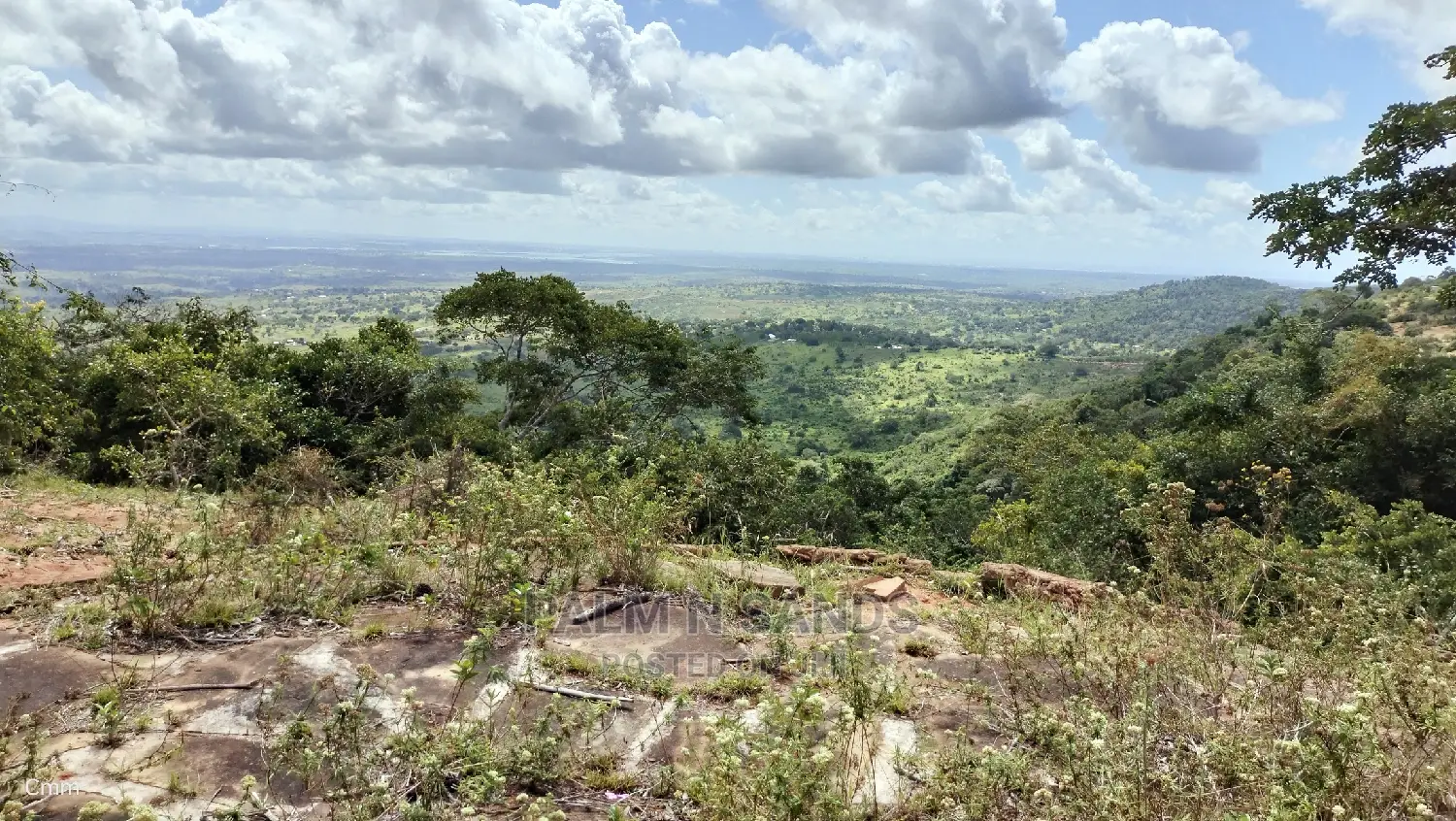5 Acres Ocean View Property in Golini