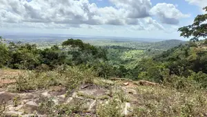 5 Acres Ocean View Property in Golini