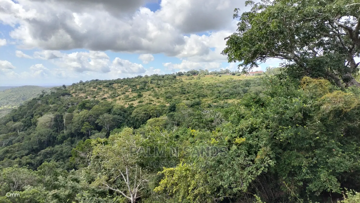 5 Acres Ocean View Property in Golini