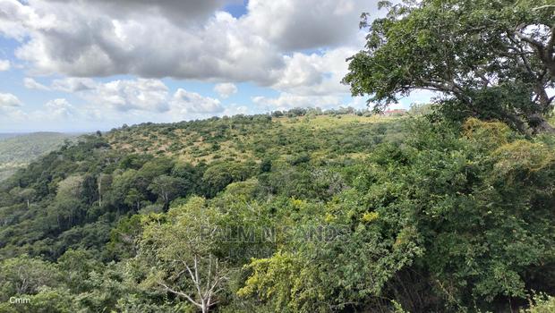 5 Acres Ocean View Property in Golini - thumbnail 13