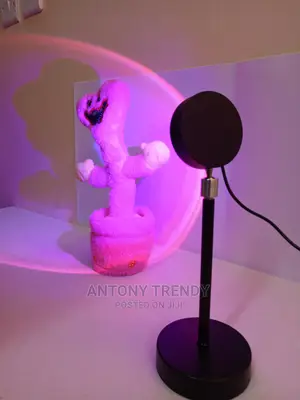 Sunset Light With Multiple Colors Changing Projector LED