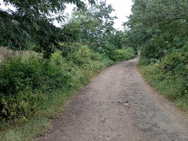 1.5 Acres for Sale - thumbnail 3