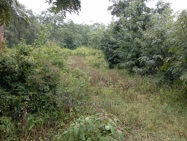 1.5 Acres for Sale - thumbnail 4