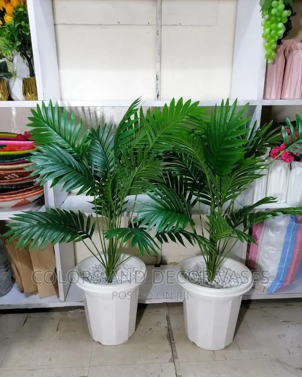 Palm Tree With Vase