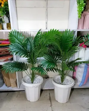Palm Tree With Vase