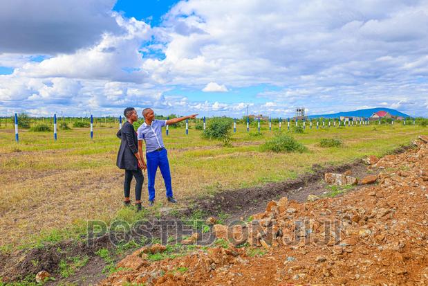 Ruby Gardens Juja Farm ^KK - main view