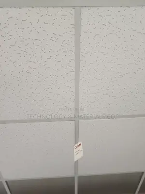 Acoustic Ceilings{Offices, Churches, Showrooms}