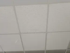 Acoustic Ceilings{Offices, Churches, Showrooms}