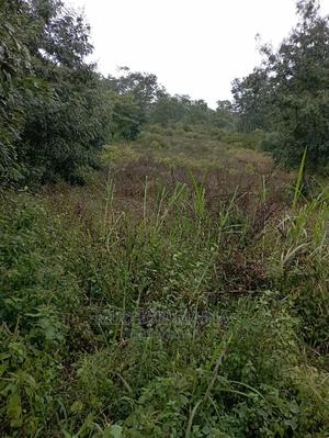 1.5 Acres for Sale - thumbnail 2