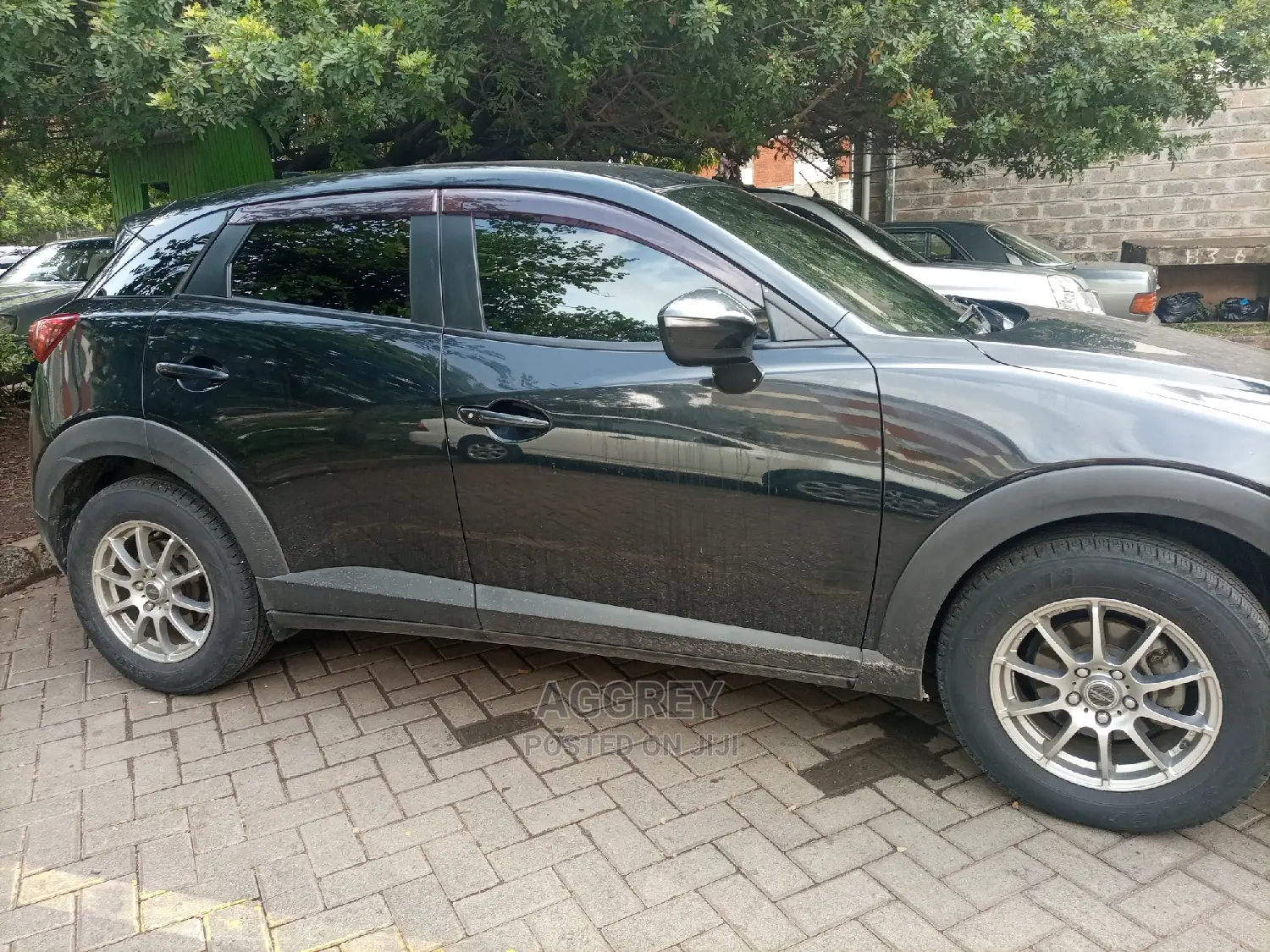 Presidential Llumar Car Tint