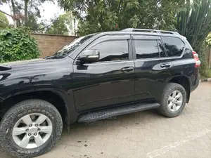 Presidential Llumar Car Tint