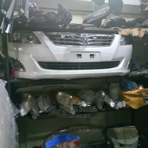 Ex Japan Nosecut for Premio 265 Xenon on Sale