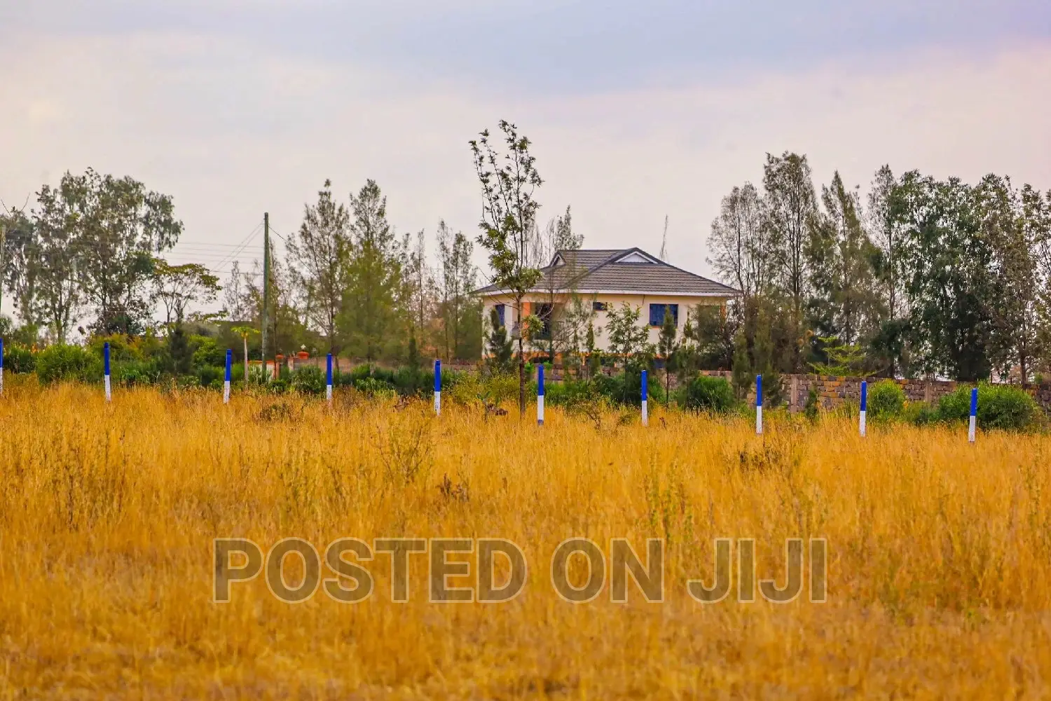Kamulu Plots Ready to Settle 1.3M.Mw^