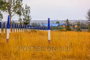 Kamulu Plots Ready to Settle at 1M.Mw