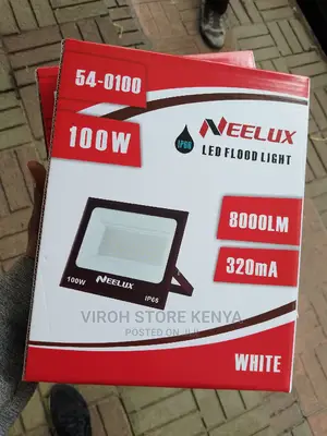 IP66 100watts Bright LED Floodlight Security Light