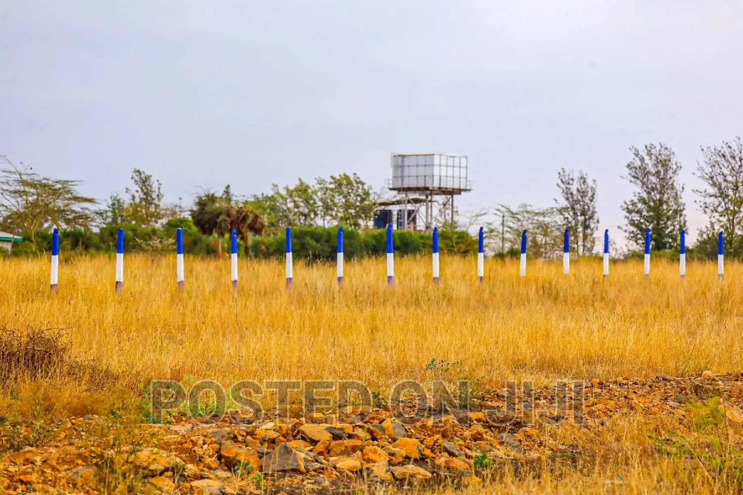 50 by 100 Plots in Kamulu! ^SM