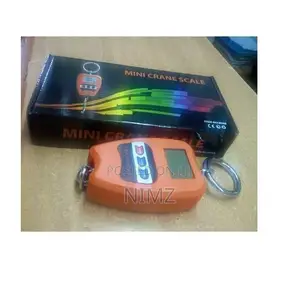 Mini Heavy Duty Portable Mini Crane-Digital Scale 200kg