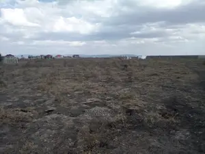 1/4-Acre Plots for Sale in Katani