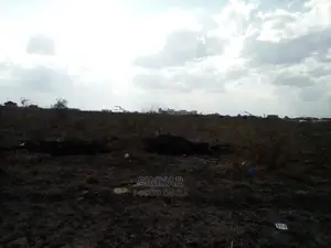 1/4-Acre Plots for Sale in Katani