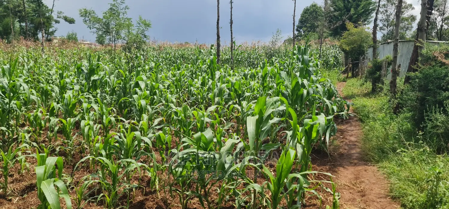 Commercial Plot For Sale In Annex Eldoret