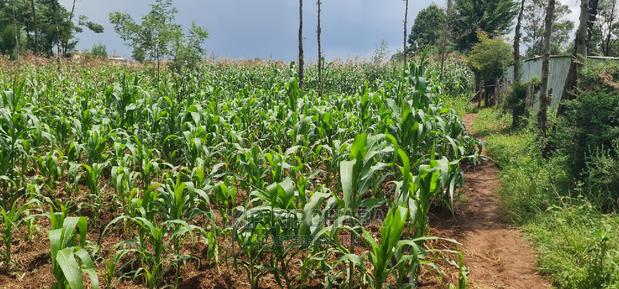 Commercial Plot For Sale In Annex Eldoret - thumbnail 6