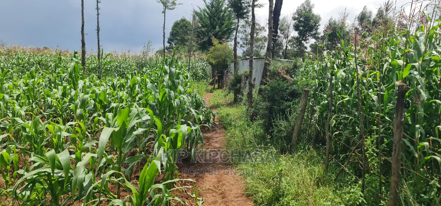 Commercial Plot For Sale In Annex Eldoret