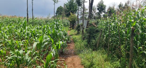 Commercial Plot For Sale In Annex Eldoret - thumbnail 7
