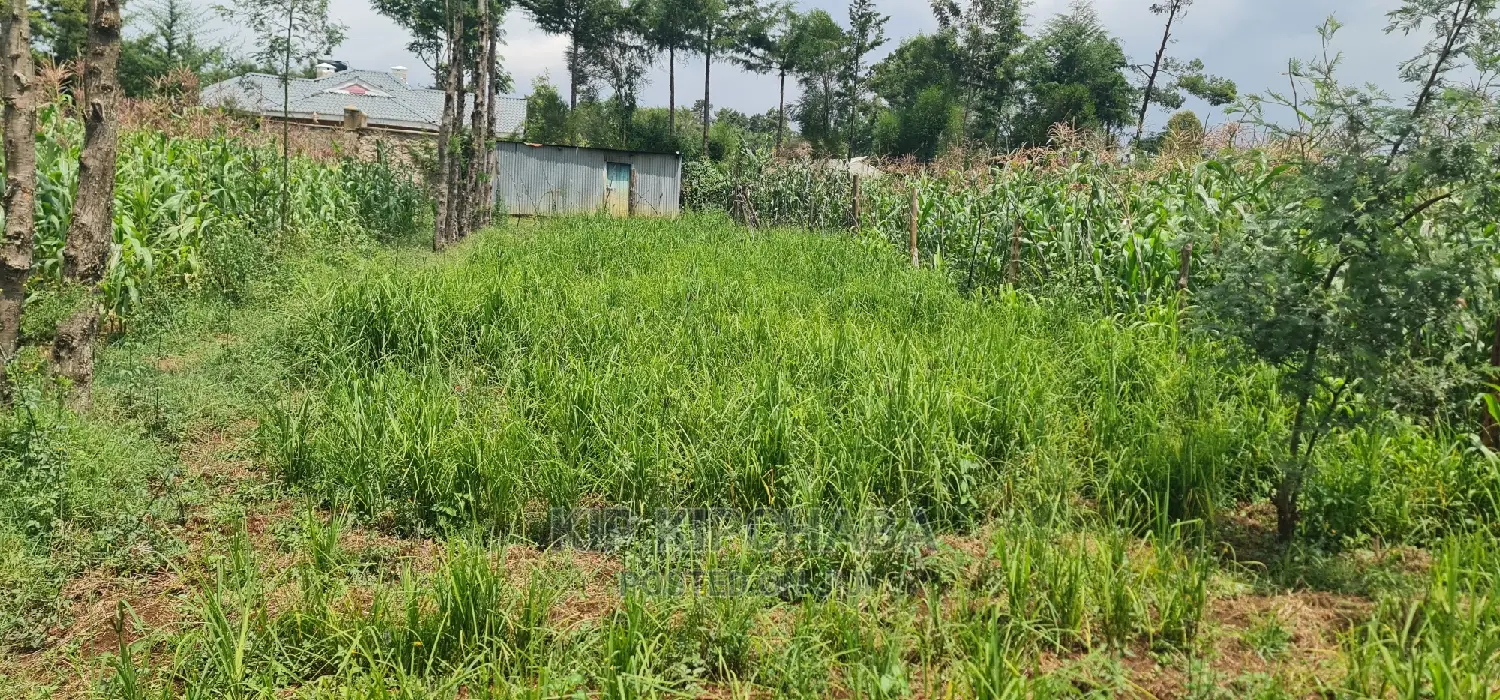 Commercial Plot For Sale In Annex Eldoret