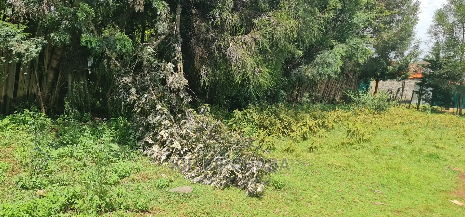Commercial Plot For Sale In Annex Eldoret