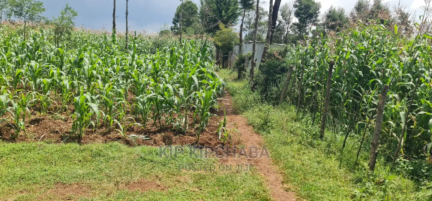 Commercial Plot For Sale In Annex Eldoret