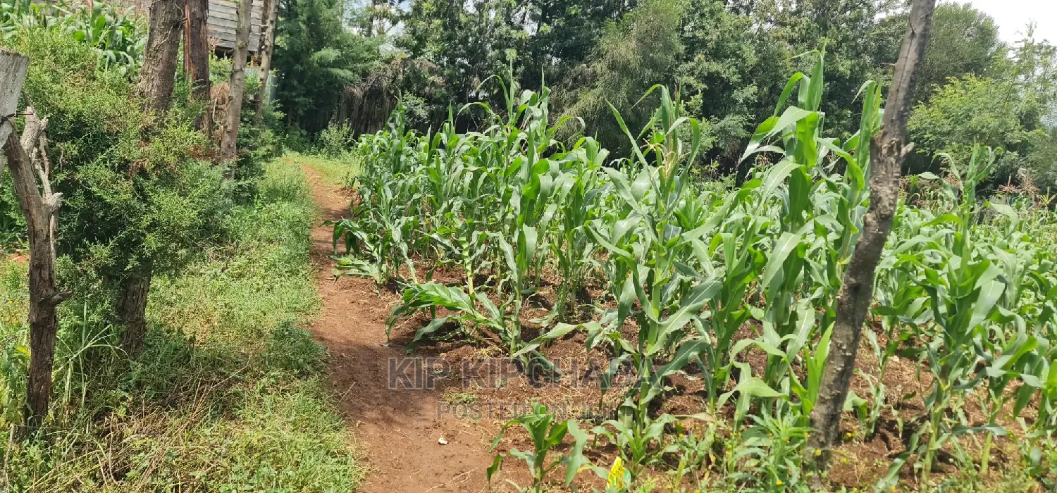 Commercial Plot For Sale In Annex Eldoret