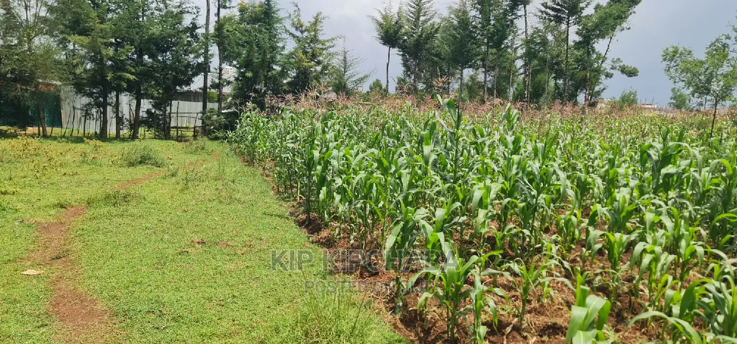 Commercial Plot For Sale In Annex Eldoret