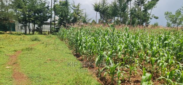 Commercial Plot For Sale In Annex Eldoret - thumbnail 5