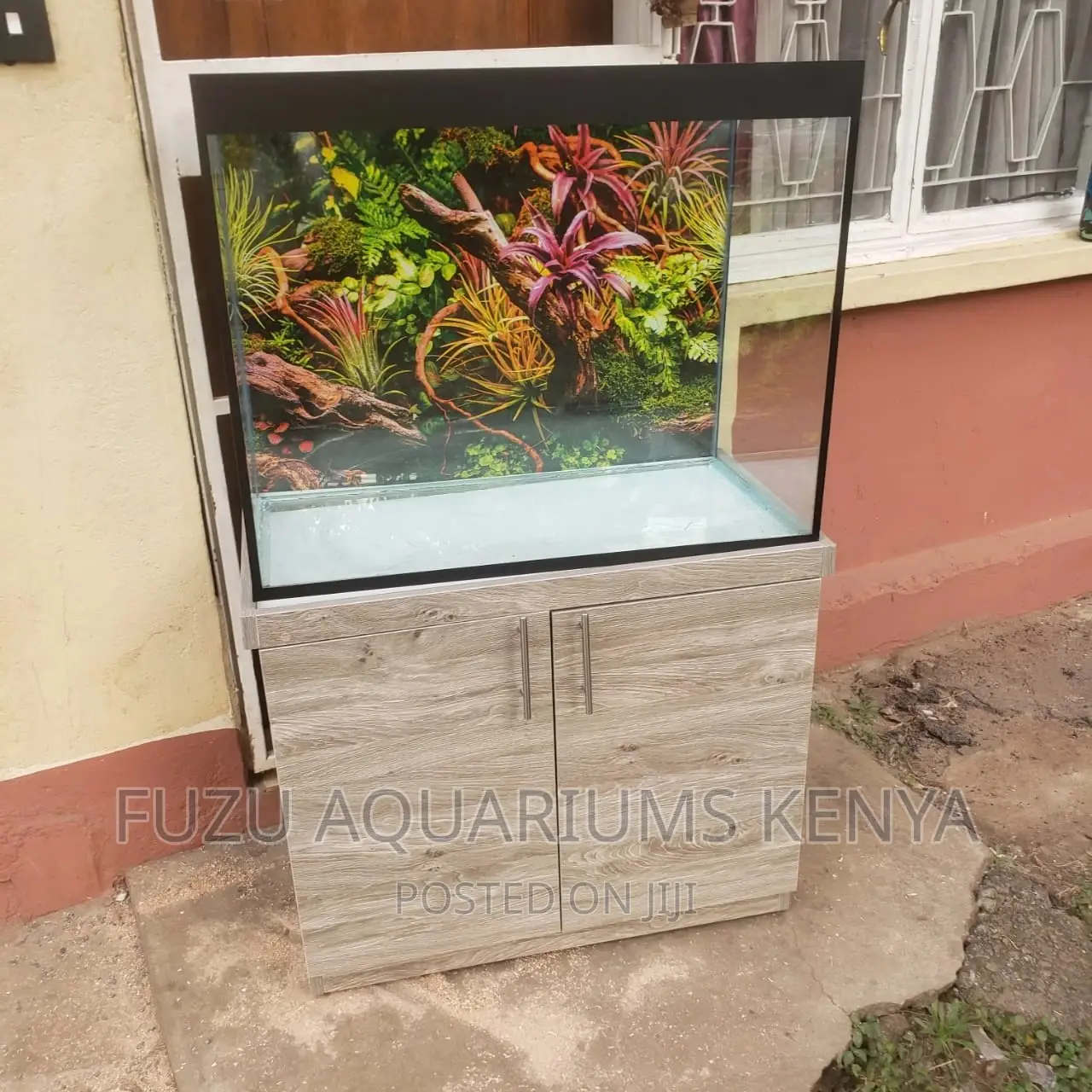 Aquarium With Elegant Stand