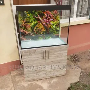 Aquarium With Elegant Stand