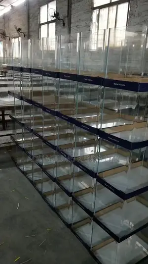 Small Aquarium in Kenya