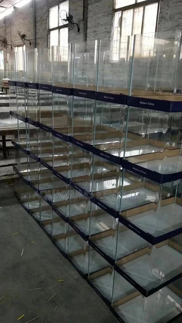 Small Aquarium in Kenya - main view