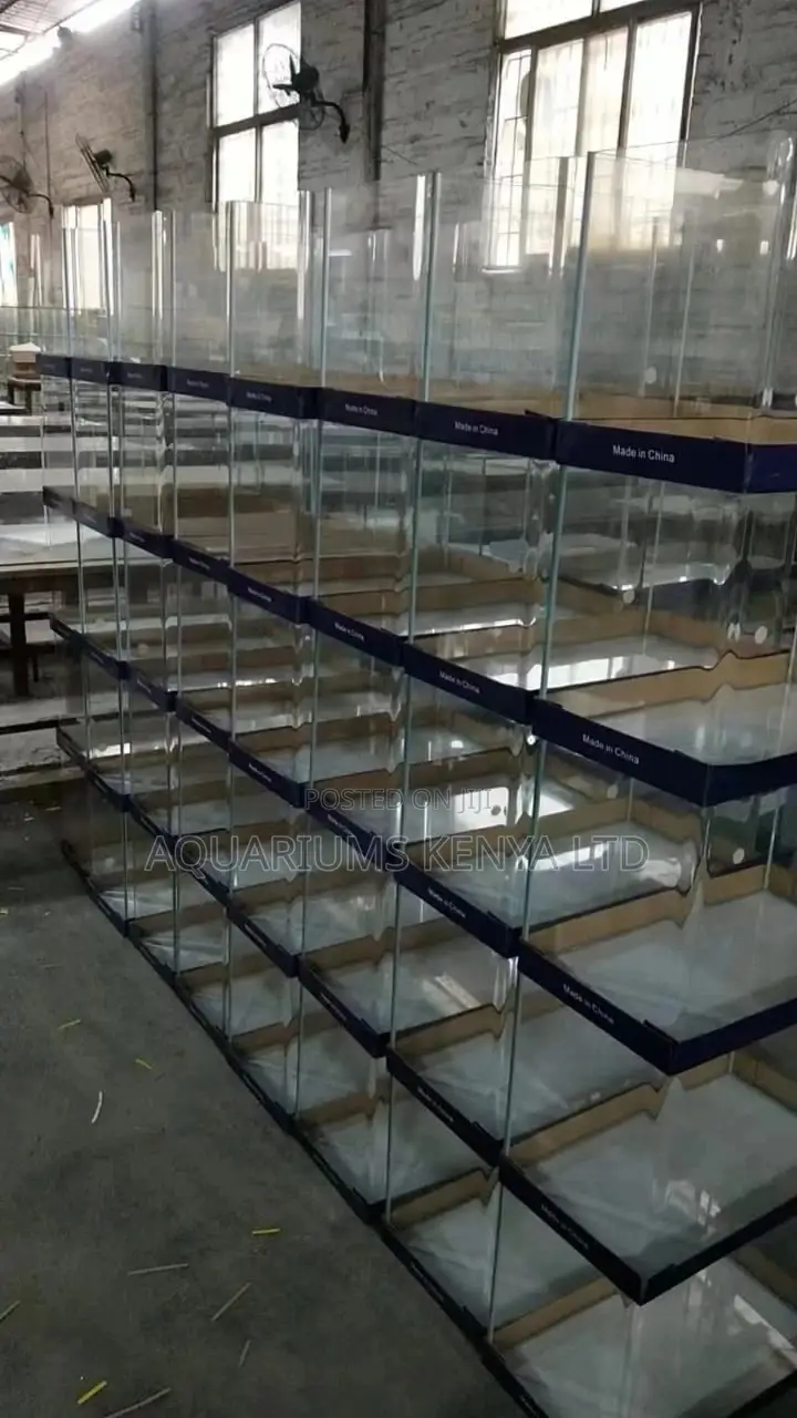 Small Aquarium in Kenya
