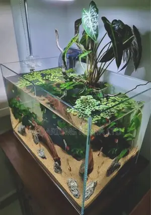 Therapeutic Aquarium Planted Tank