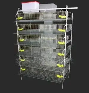 Best Quality H Type Quail Cage for Sale