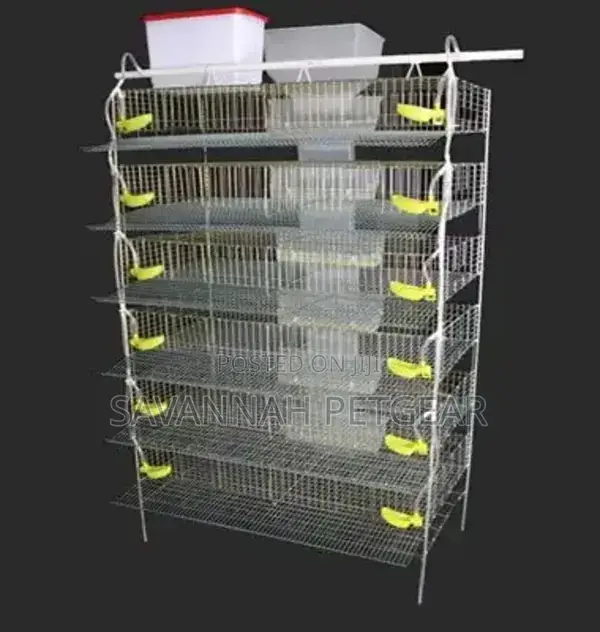 Best Quality H Type Quail Cage for Sale