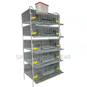 Best Quality H Type Quail Cage for Sale