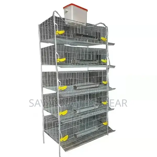 Best Quality H Type Quail Cage for Sale